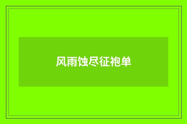 风雨蚀尽征袍单
