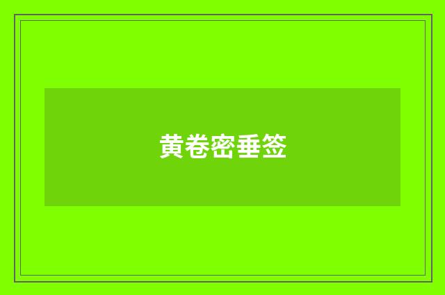 黄卷密垂签
