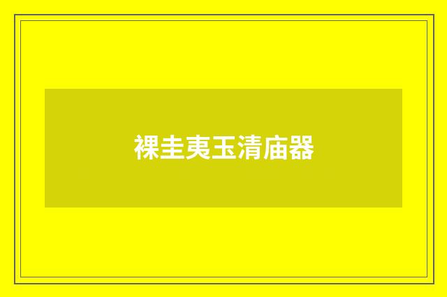 裸圭夷玉清庙器