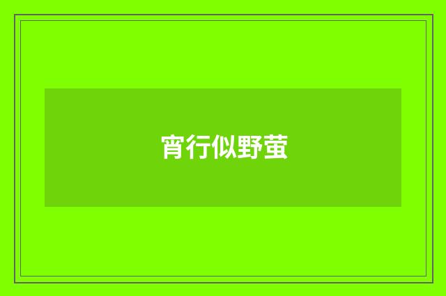 宵行似野萤