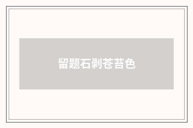 留题石剥苍苔色