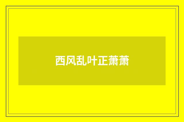 西风乱叶正萧萧