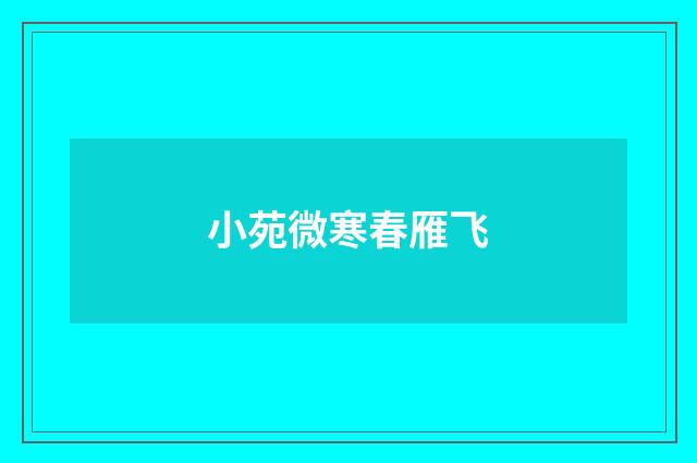小苑微寒春雁飞