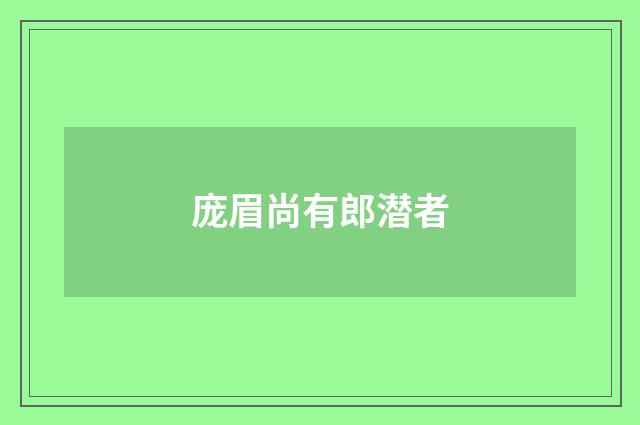 庞眉尚有郎潜者