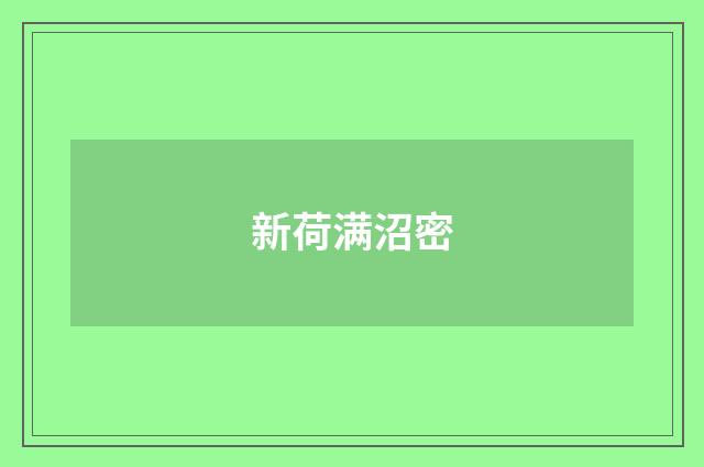 新荷满沼密