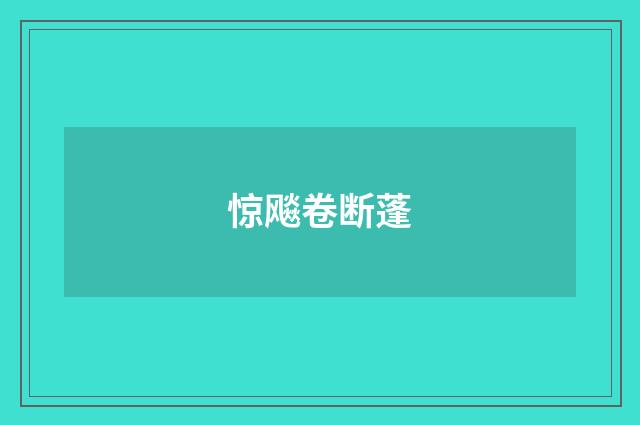 惊飚卷断蓬