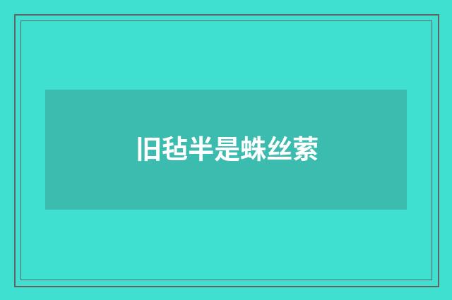 旧毡半是蛛丝萦