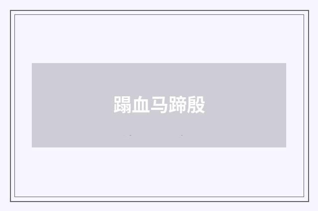 蹋血马蹄殷