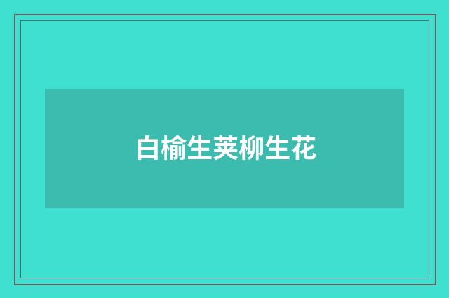 白榆生荚柳生花