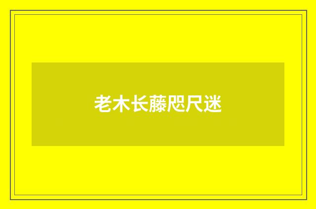 老木长藤咫尺迷