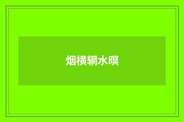 烟横辋水暝