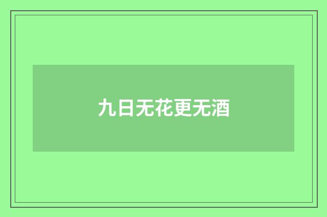 九日无花更无酒