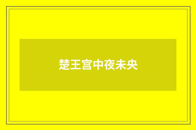 楚王宫中夜未央
