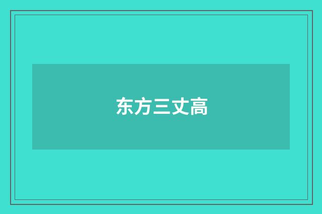 东方三丈高
