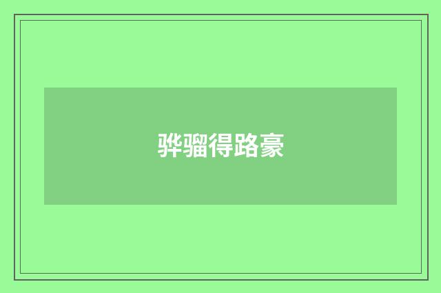 骅骝得路豪