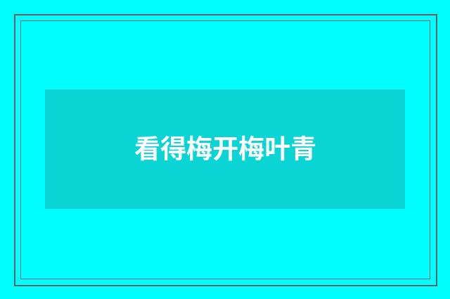 看得梅开梅叶青