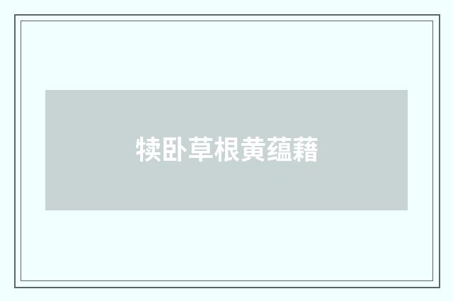 犊卧草根黄蕴藉