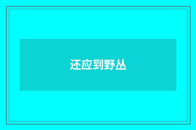 还应到野丛