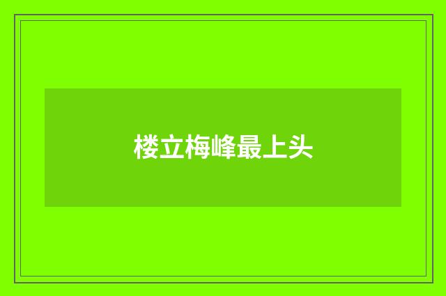 楼立梅峰最上头