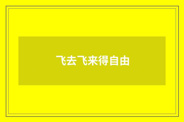 飞去飞来得自由