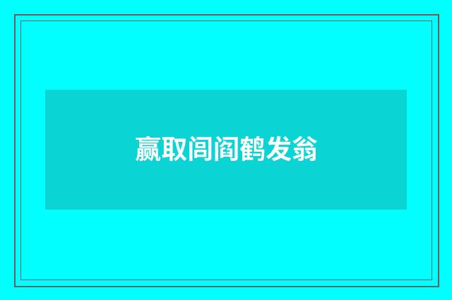 赢取闾阎鹤发翁