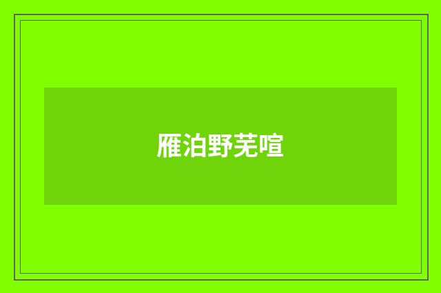 雁泊野芜喧