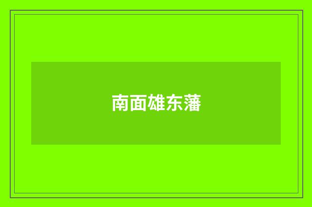 南面雄东藩