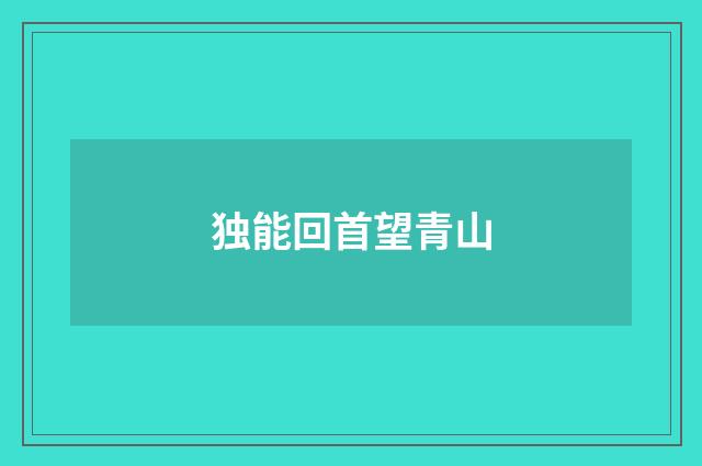 独能回首望青山