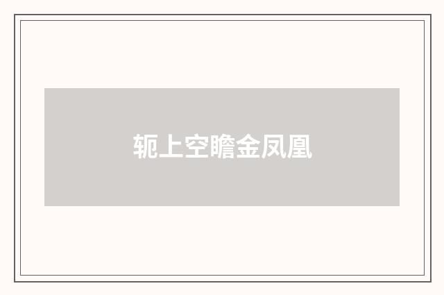 轭上空瞻金凤凰