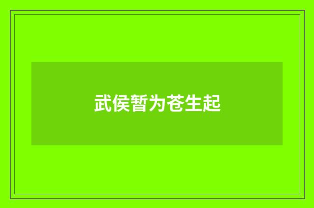 武侯暂为苍生起
