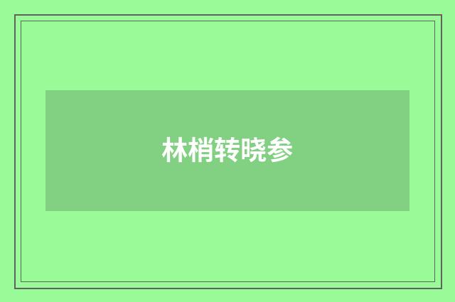 林梢转晓参