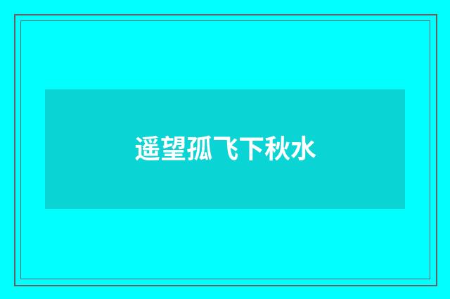 遥望孤飞下秋水
