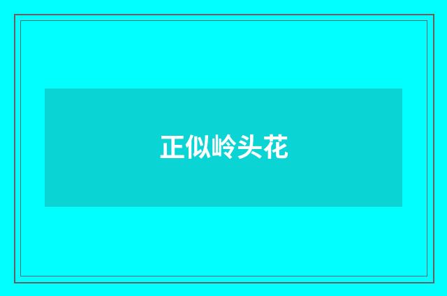 正似岭头花