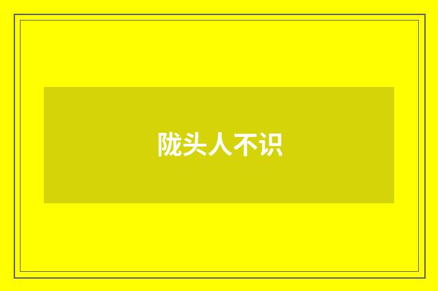 陇头人不识