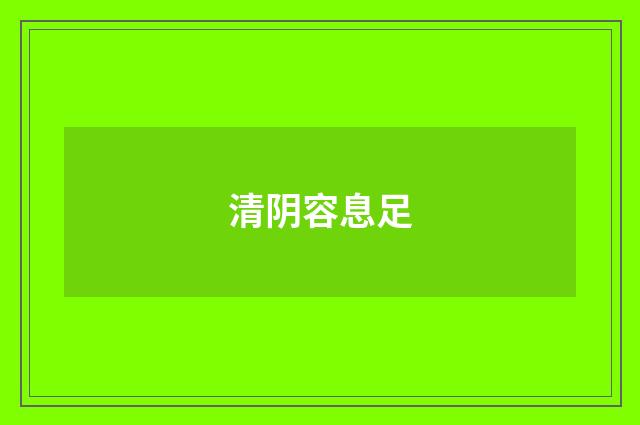 清阴容息足