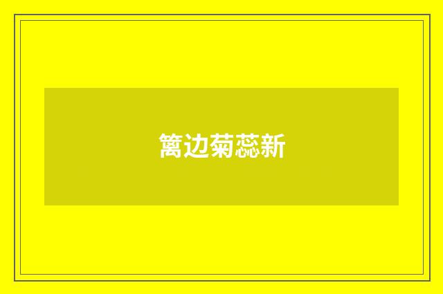 篱边菊蕊新