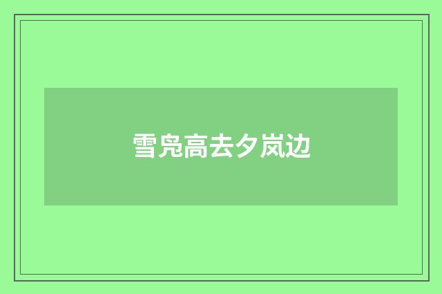 雪凫高去夕岚边