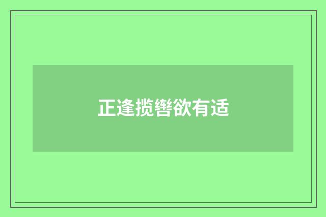 正逢揽辔欲有适