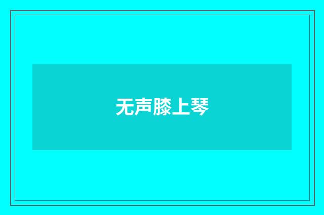 无声膝上琴