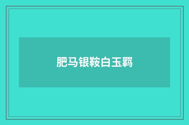肥马银鞍白玉羁