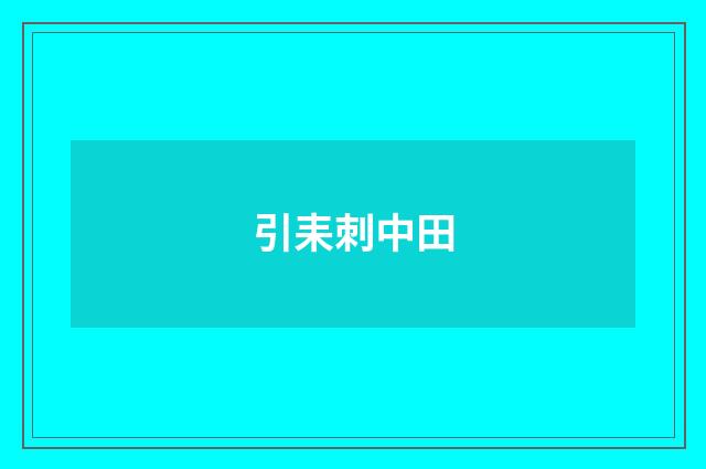 引耒刺中田