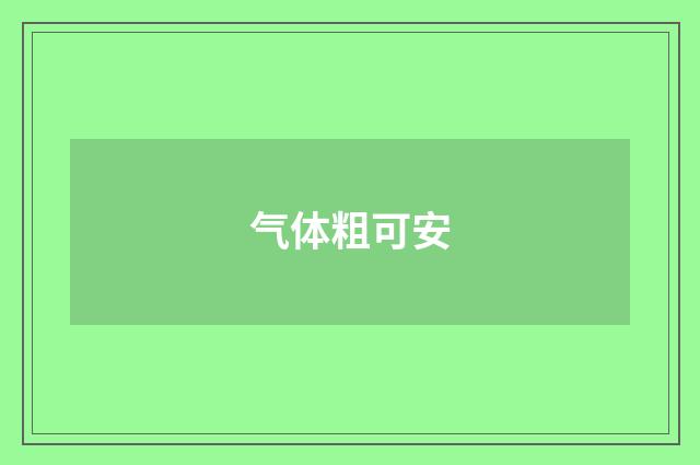气体粗可安