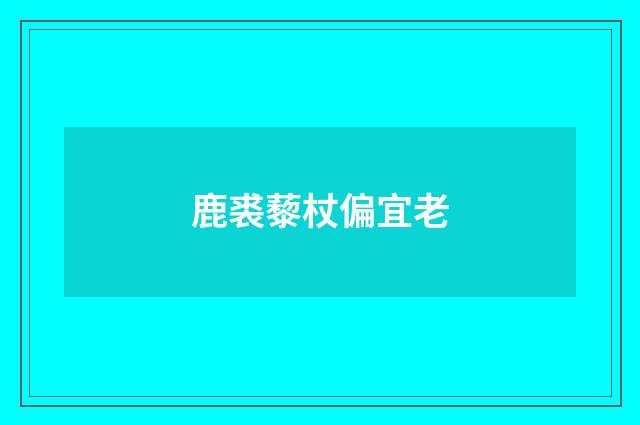 鹿裘藜杖偏宜老