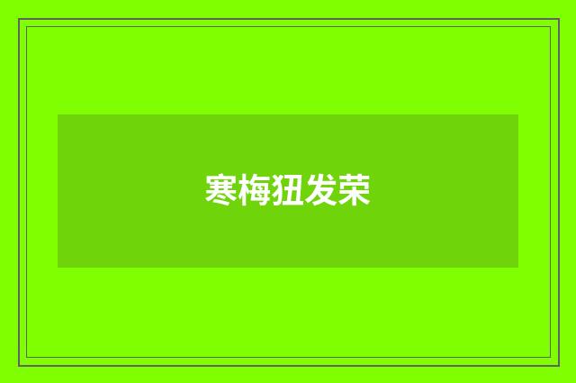 寒梅狃发荣
