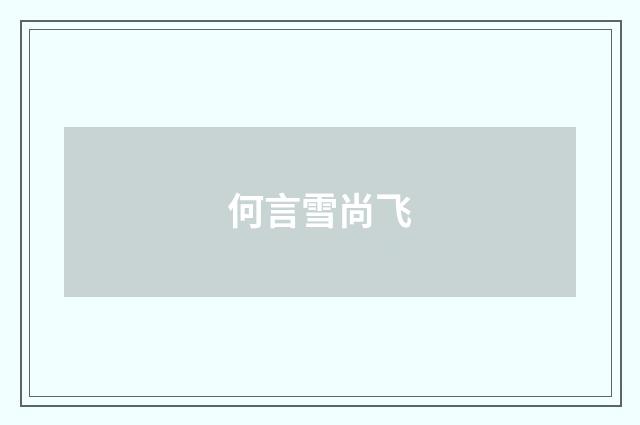 何言雪尚飞