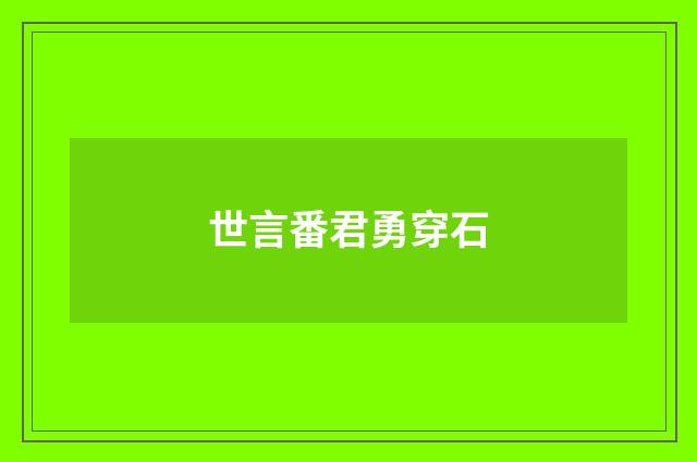 世言番君勇穿石