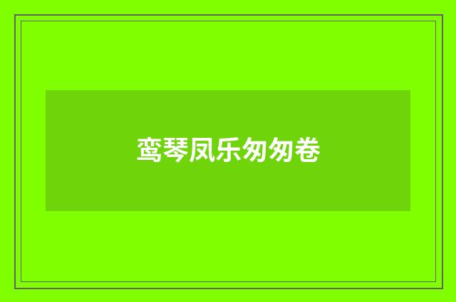 鸾琴凤乐匆匆卷