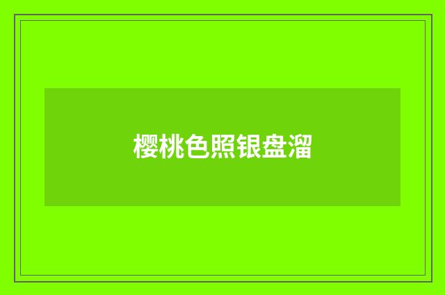 樱桃色照银盘溜
