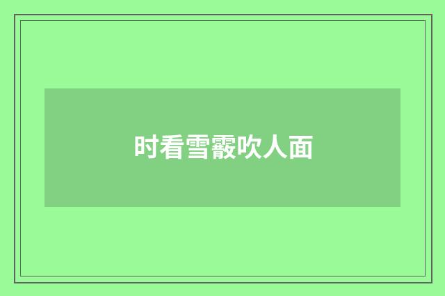 时看雪霰吹人面