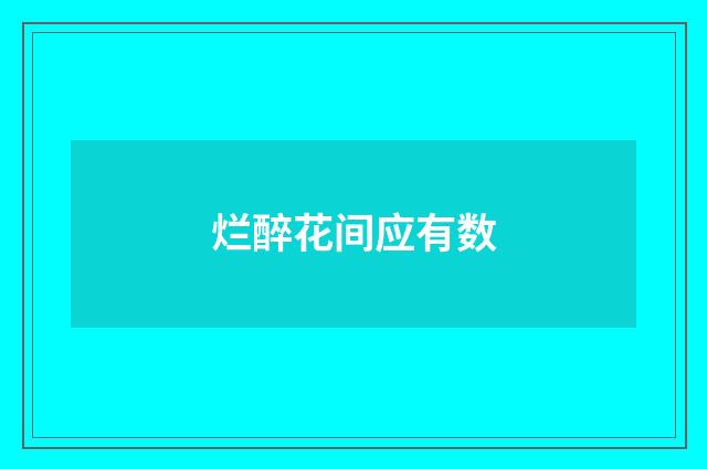 烂醉花间应有数